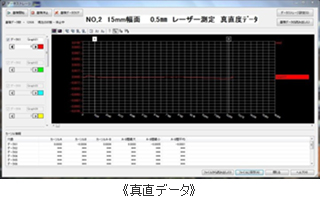 真直データ 参考画像